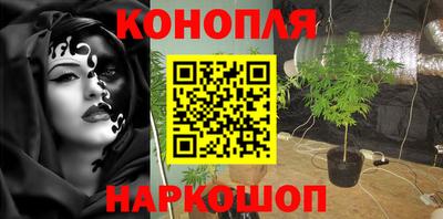 дмт Донецк